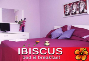 Отель Ibiscus B&B  Кастро